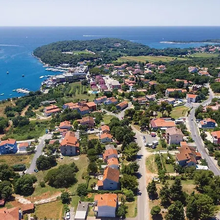 Cozy In With Kitchen Apartman