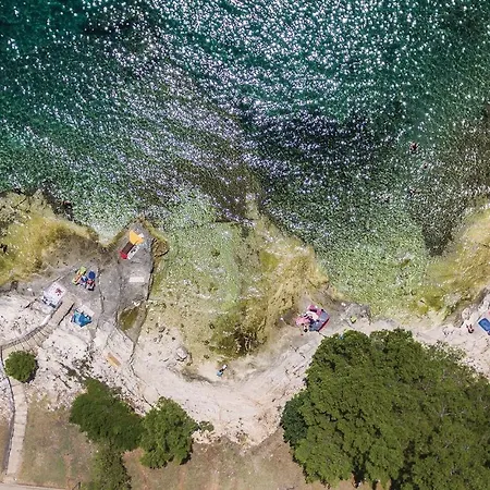 Apartman Cozy In With Kitchen