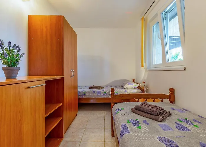 Apartment Cozy In With Kitchen